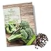 Foto BIO Brokkoli Samen (Calabrese) - Brokkoli Saatgut aus biologischem Anbau ideal für die Anzucht im Garten, Balkon oder Terrasse Rezension