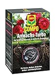 COMPO Anwachs-Turbo, Hochwirksames Bewurzelungshilfsmittel, 0,7 kg Foto, neu 2024, bester Preis 10,05 € (14,36 € / kg) Rezension