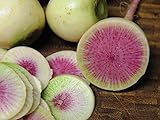 250+ Radish Seeds- Watermelon- Heirloom Variety by Ohio Heirloom Seeds Photo, new 2024, best price $3.99 review