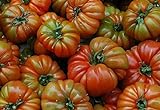 Portal Cool 100 Semillas: Las semillas de tomate Raf, Variedad Tamano Grande, Viejo tomate de la herencia española, Andalucía Foto, nuevo 2024, mejor precio 4,99 € revisión