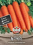 Sperli Premium Möhren Samen Nantaise 2 ; Mittelfrühe zuverlässige Sorte ; 1000 Karotten Samen Foto, neu 2024, bester Preis 2,17 € Rezension