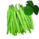 Park Seed Algarve French Climbing Bean Seeds, Pack of 100 Seeds Photo, new 2024, best price $9.99 ($0.10 / Count) review