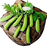 50 Sugar Ann Snap Pea Heirloom Seeds - Non GMO - Neonicotinoid-Free Photo, new 2024, best price $8.99 ($0.18 / Count) review