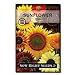 Photo Sow Right Seeds - Large Full-Color Packet of Mixed Sunflower Seed to Plant - Non-GMO Heirloom - Instructions for Planting - Wonderful Gardening Gift (1) review