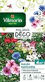 Vilmorin 5862942 Fleur parfumée, Multicolore, 90 x 2 x 160 cm Photo, nouveau 2024, meilleur prix 4,50 € examen