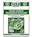 Photo Early Jersey Wakefield Cabbage Seeds -500 Seeds Non-GMO review