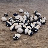 Calypso Shelling Bean - 50 Seeds - Heirloom & Open-Pollinated Variety, Non-GMO Vegetable/Dry Bean Seeds for Planting Outdoors in The Home Garden, Great for Containers, Thresh Seed Company Photo, new 2024, best price $7.99 review