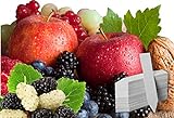 Fruit Combo Pack Raspberry, BlackBerry, Blueberry, Strawberry, Apple, Mulberry 575+ Seeds UPC 695928808755 & 4 Free Plant Markers Photo, new 2024, best price $8.15 review