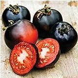Indigo Rose Tomato Seeds (20+ Seeds) | Non GMO | Vegetable Fruit Herb Flower Seeds for Planting | Home Garden Greenhouse Pack Photo, new 2024, best price $3.69 ($0.18 / Count) review