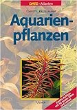Aquarienpflanzen Foto, neu 2024, bester Preis 69,95 € Rezension