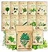 Photo NatureZ Edge 12 Herb Seeds Variety Pack, 6000+ Heirloom Seeds for Planting Hydroponic Indoor or Outdoor Home Garden Plant Seed, Parsley, Cilantro, Basil, Thyme, Chamomile, Oregano, Dill & More NonGMO review