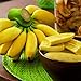 Foto Benoon Bananensamen, 1 Beutel Bananensamen Süße Samen Mit Hoher Keimrate Frische Pflanzensamen Für Den Balkon Bananen Rezension