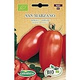 Germisem Orgánica San Marzano Semillas de Tomate 0.5 g Foto, nuevo 2024, mejor precio 3,99 € revisión
