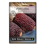 Sow Right Seeds - Strawberry Popcorn Seed for Planting - Non-GMO Heirloom Packet with Instructions to Plant a Home Vegetable Garden Photo, new 2024, best price $4.99 review