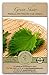 Photo Gaea's Blessing Seeds - Green Shiso Seeds (Perilla), Heirloom Non-GMO Seeds with Easy to Follow Planting Instructions, Kaori Ao Shiso, Open-Pollinated, 94% Germination Rate review
