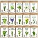 Photo Seedra 15 Herb Seeds Variety Pack - 4500+ Non-GMO Heirloom Seeds for Planting Hydroponic Indoor or Outdoor Home Garden - Lavender, Parsley, Cilantro, Basil, Thyme, Mint, Rosemary, Dill & More review