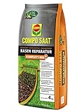 COMPO SAAT Rasen Reparatur Komplett-Mix+, Rasensaat, Keimsubstrat,Langzeit-Rasendünger und Bodenaktivator, 4 kg, 20 m² Foto, neu 2024, bester Preis 30,75 € (7,69 € / kg) Rezension