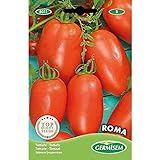 Germisem Roma Semillas de Tomate 1 g, EC8011 Foto, nuevo 2024, mejor precio 2,21 € revisión
