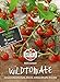 Foto 83235 Sperli Premium Tomatensamen Red Currant | Buschtomaten Samen | Tomatensamen Resistent | Wildtomaten Samen | Johannisbeertomaten Samen | Wildtomate rote murmel | Alte Tomatensorten Rezension