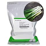 Tokyo Long White Bunching Onion Garden Seeds - 1 Oz ~8,400 Seeds - Non-GMO, Heirloom Vegetable Gardening & Micro Greens Seed Photo, new 2024, best price $15.30 review