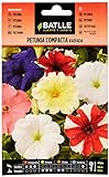 Semillas Batlle - Petunia Compacta VARIADA, Multicolor Foto, nuevo 2024, mejor precio 1,88 € revisión