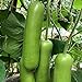Photo S-pone 20+ Long Bottle Gourd Seeds Edible Asian Indian Opo Squash Dudi Calabash Long Melon review