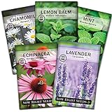 Sow Right Seeds - Herbal Tea Collection - Lemon Balm, Chamomile, Mint, Lavender, Echinacea Herb Seed for Planting; Non-GMO Heirloom Seed, Instructions to Plant Indoor or Outdoor; Great Gardening Gift Photo, new 2024, best price $10.99 review
