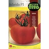 Semillas Fitó Híbridos 4049 - Tomate Crisol Foto, nuevo 2024, mejor precio 3,98 € revisión