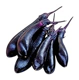 Burpee Millionaire Hybrid Eggplant Seeds 30 seeds Photo, new 2024, best price $7.27 review