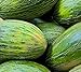 Photo 50 Valencia Late Melon Seeds | Non-GMO | Heirloom | Fresh Garden Seeds review