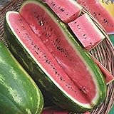 Jubilee Sweet Watermelon Seeds, 75 Heirloom Seeds Per Packet, Non GMO Seeds Photo, new 2024, best price $5.99 ($0.08 / Count) review