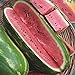Photo Jubilee Sweet Watermelon Seeds, 75 Heirloom Seeds Per Packet, Non GMO Seeds review
