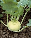 300 semillas de colo rava blanca – Verduras antiguas huertas – Método ecológico Foto, nuevo 2024, mejor precio 4,24 € revisión