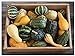 Photo David's Garden Seeds Gourd Ornamental Blend 7911 (Multi) 25 Non-GMO, Open Pollinated Seeds review