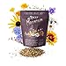 Photo Package of 80,000 Wildflower Seeds - Rocky Mountain Wildflower Mix Seeds Collection - 18 Assorted Varieties of Non-GMO Heirloom Flower Seeds for Planting Including Larkspur, Poppy, Columbine, & Daisy review