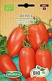 Germisem Orgánica Roma Semillas de Tomate 0.5 g Foto, nuevo 2024, mejor precio 3,99 € revisión