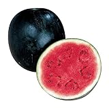 Burpee Sugar Baby Watermelon Seeds 75 seeds Photo, new 2024, best price $8.11 review