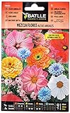 Mezcla Flores ALTAS anuales Foto, nuevo 2024, mejor precio 1,88 € revisión