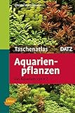 Aquarienpflanzen: Das Aquarium von A - Z (Taschenatlanten) Foto, neu 2024, bester Preis 19,90 € Rezension