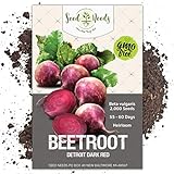 Seed Needs, Detroit Dark Red Beet (Beta vulgaris) Bulk Package of 2,000 Seeds Non-GMO Photo, new 2024, best price $7.49 review