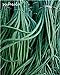 Foto 8 piezas del multicolor Frijoles aflojados Semillas Semillas largo de judías de semillas de plantas en maceta crecen más rápido perenne del jardín de flores de la planta 11 revisión