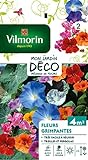 Vilmorin 5860642 Pack de Graines Fleur Grimpante Photo, nouveau 2024, meilleur prix 5,80 € examen