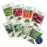Organic Winter Vegetable Seeds, Heirloom Seed Set with Vegetable Seeds for Planting Home Garden, Includes Radish, Broccoli, Peas, Kale, Beets, Beans, Cauliflower, and Carrot Seeds - Môpet Marketplace Photo, new 2024, best price $12.99 ($12.99 / Count) review