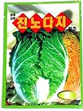 ITEHIL Cabbage Seeds Korea. 2 Pack(4grams-Each) Photo, new 2024, best price $5.95 review