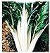 Foto Semillas de acelga verde 2 de remolacha plateada - verduras - beta vulgaris - aprox. 300 semillas - las mejores semillas de plantas - flores - frutas raras - remolacha verde - idea de regalo revisión