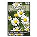 Photo Sow Right Seeds - Roman Chamomile Seeds for Planting - Non-GMO Heirloom Seeds; Instructions to Plant and Grow an Herbal Tea Garden, Indoors or Outdoor; Great Gardening Gift. (1) review