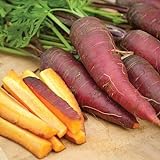Cosmic Purple Carrot Seeds, 500 Heirloom Seeds Per Packet, Non GMO Seeds, Isla's Garden Seeds Photo, new 2024, best price $5.99 ($0.01 / Count) review