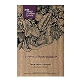 Rosa-roter Rettich 'Ostergruß' (Raphanus sativus) 100 Samen Garten-Rettich Foto, neu 2024, bester Preis 3,00 € Rezension