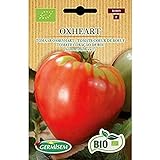Germisem Orgánica Oxheart Semillas de Tomate 0.5 g (ECBIO8009) Foto, nuevo 2024, mejor precio 3,99 € revisión