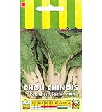 Sachet de graines de Chou de Chine Canton nain Pak Choi - 3 g - LES GRAINES BOCQUET Photo, nouveau 2024, meilleur prix 3,99 € (1 330,00 € / kg) examen